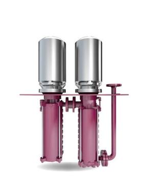 schmalenberger多级高压浸没泵DUO型双泵单元