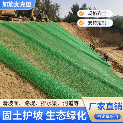 加筋麦克垫三维植被网河道护坡固土网格宾网雷诺护垫石笼网绿滨垫