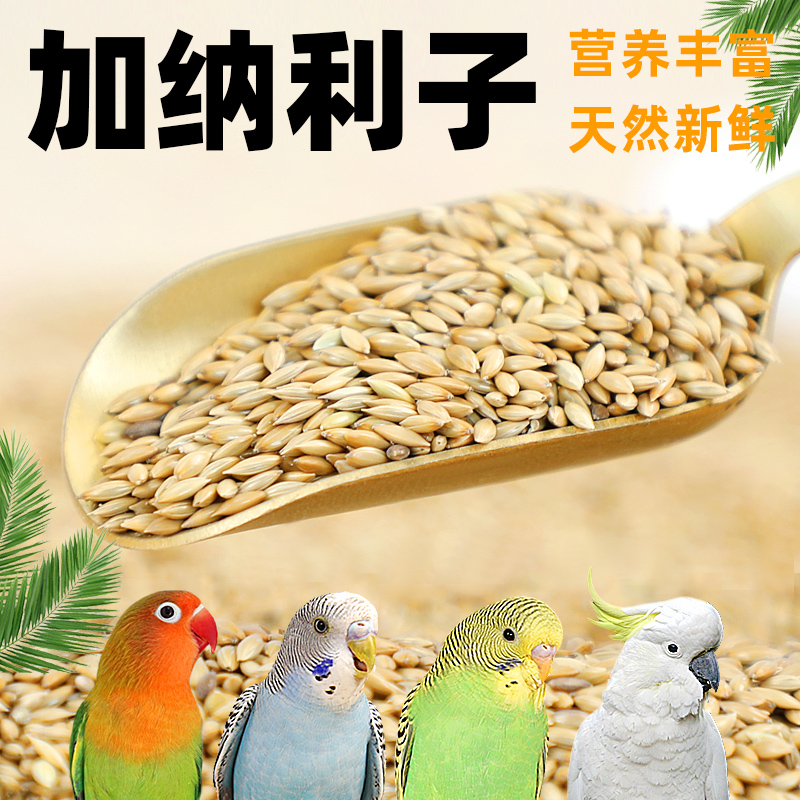 罐装鸟食中小型鹦鹉颗粒状牡丹鹦鹉鸟粮加纳利子天然营养丰富成鸟