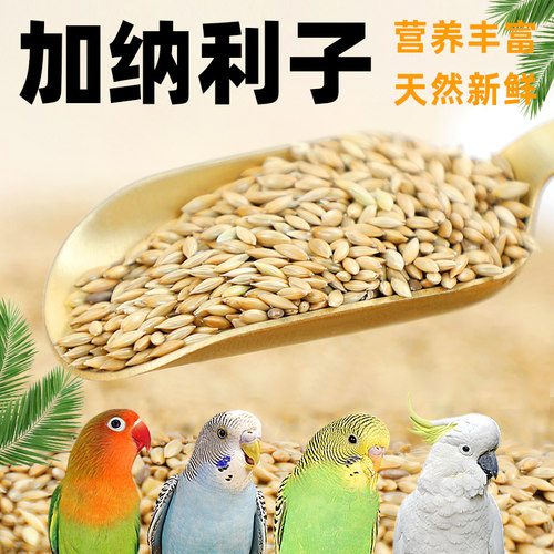 冠之亚加纳利子牡丹鹦鹉鸟粮