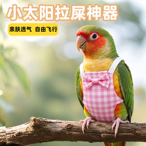 小太阳鹦鹉防乱拉屎尿不湿