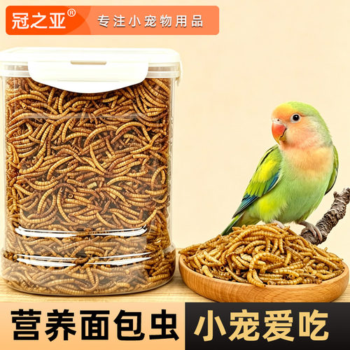 冠之亚面包虫干鸟粮鹦鹉适用