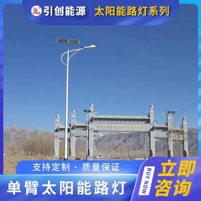 太阳能路灯定制新农村市电路灯杆直杆子户外照明工程超亮led高杆