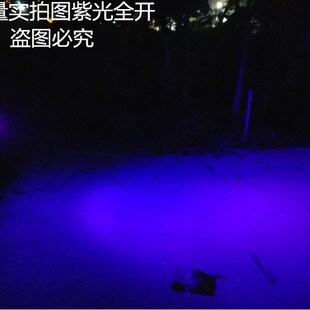 照蝎子灯专用 强光紫光手电筒可充电 抓蝎灯 紫光灯验钞灯