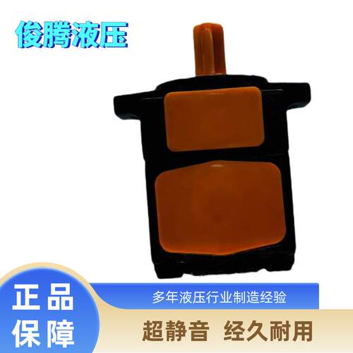 性价比高定量叶片泵液压油泵p'v2r1超静音弯管机增压泵液压油泵