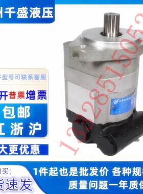 合肥长源 登晟液压泵CBW-FB-E316-ATФ E320 E310 E308 E306 E314