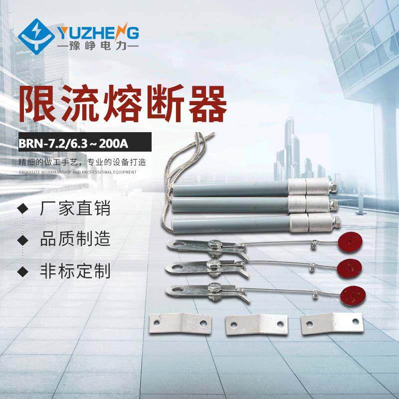 高压熔断器BRN-10KVBRN-12电容器保护用高压熔断器