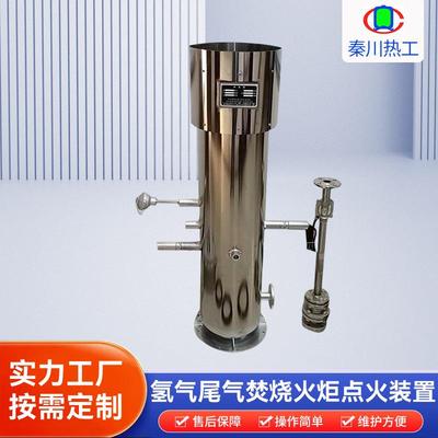 氢气焚烧火炬点火装置自动点火尾气处理装置内燃式燃烧暗火火炬