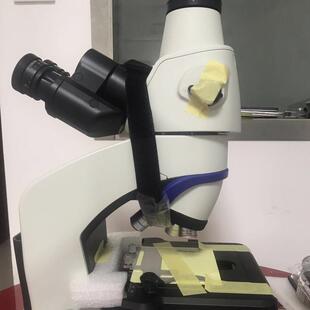 显微镜 微生物实验室观察使用 生物学 细菌学 组织学 分析一矿