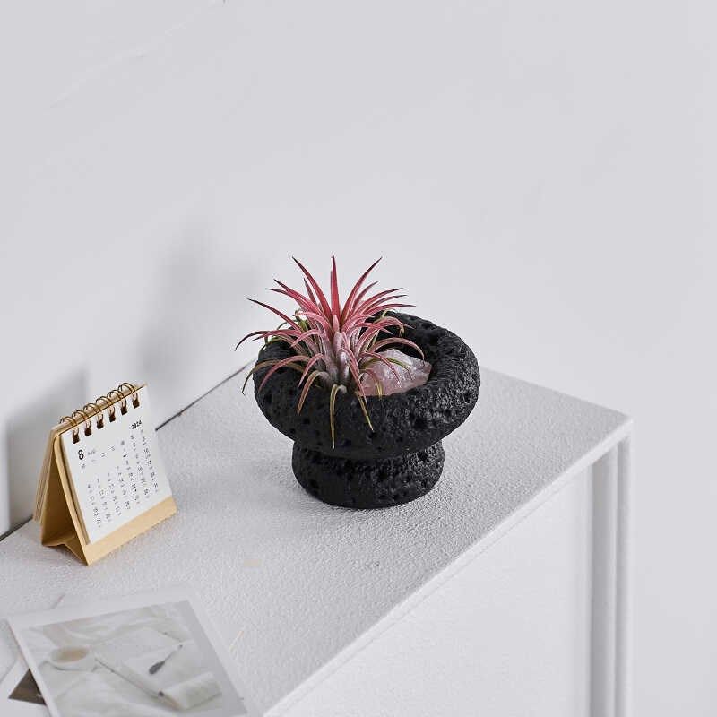 空气凤梨桌面绿植室内小盆栽植物好养四季懒人情绪稳定花卉,鲜花速递/花卉仿真/绿植园艺,红掌/凤梨/温室花卉,淘宝优惠券,粉丝福利购,淘宝优惠卷