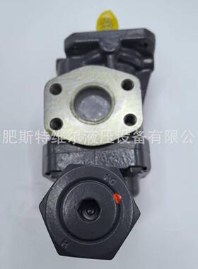 KF806F10A0ZV000GGE0GDW+D2F6D15润滑泵风电齿轮箱