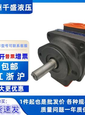 榆次柱销叶片泵 PFE-32022/28/36 42045/56/70 52090/110/129-1DT