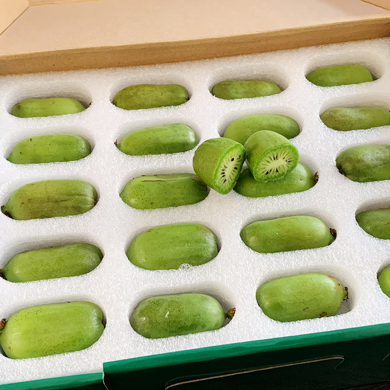 珍珠棉水果李奇异莓小软枣猕猴桃葡萄香摔托子泡沫防震防瓜网套