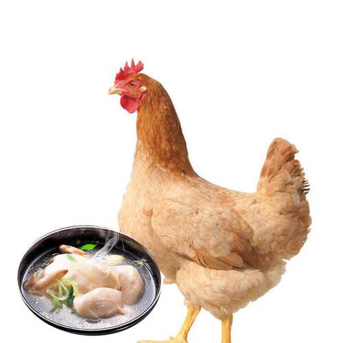 三黄鸡整只现宰冷冻生鲜