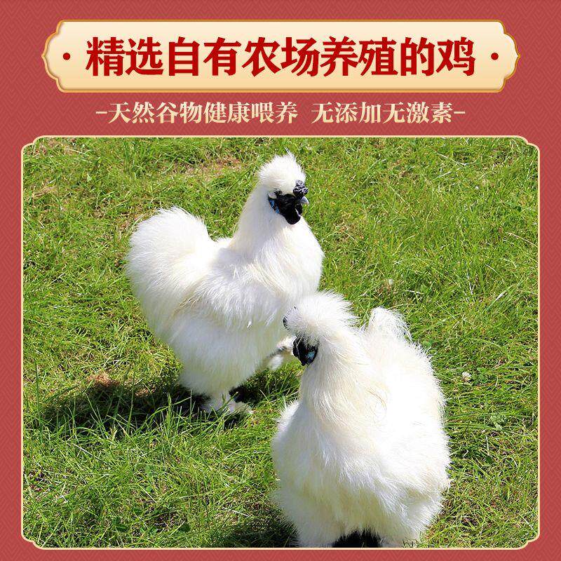 两只农家散养乌骨鸡白羽乌鸡净散养土山鸡白毛乌骨鸡950G