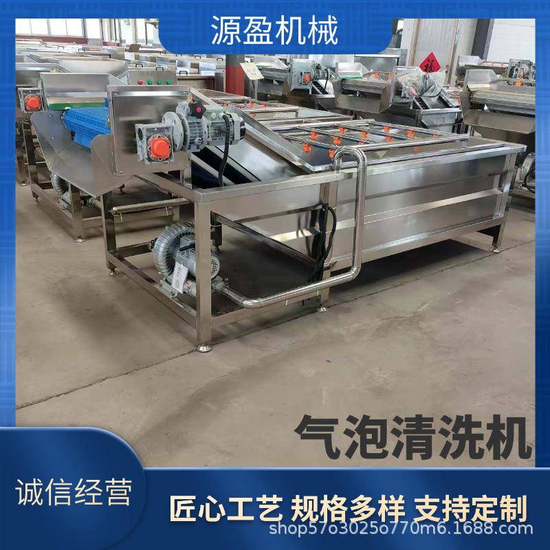 果蔬气泡清洗机苦菊生菜洗菜机佛手瓜鼓泡清洗机大型洗菜机