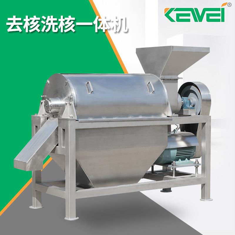 水果去核机不锈钢食品级全自动去核洗核一体机果核自动分离机