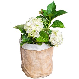 水泥麻布口袋大小花盆花器花瓶干花种植室内盆栽创意