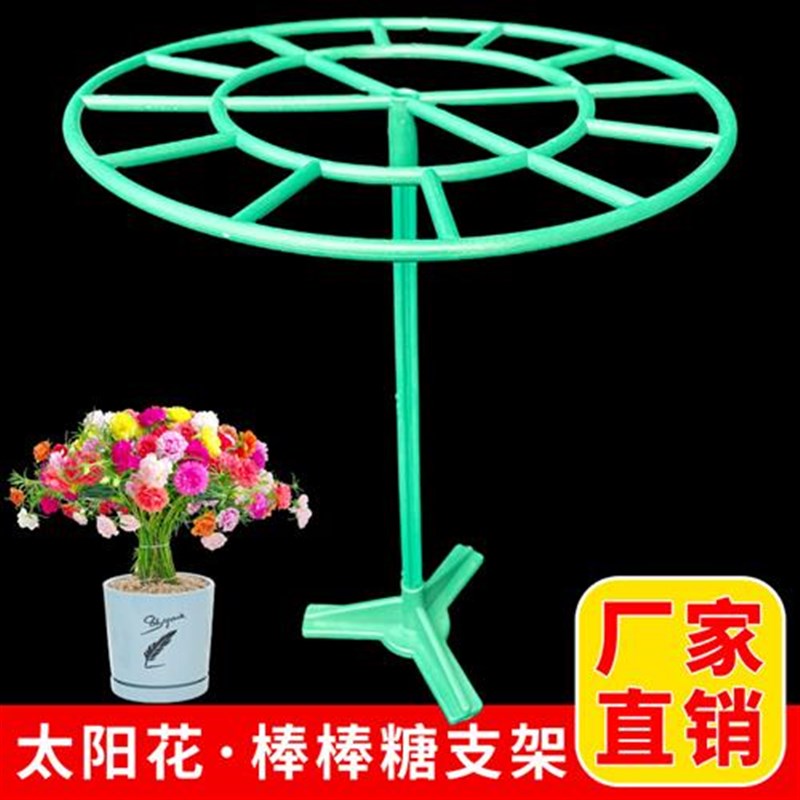 重瓣太阳花棒棒糖支架造型花架子植物蟹爪兰支撑防倒伏爬藤固定架