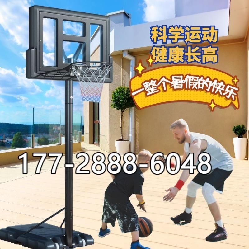 投篮框儿童家用室内蓝球投篮架篮球架可移动户外升降成人标准篮筐
