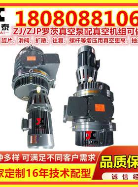 ZJ/ZJP3300罗茨真空泵18.5KW罗茨泵真空成型汕头3300L/S真空机组