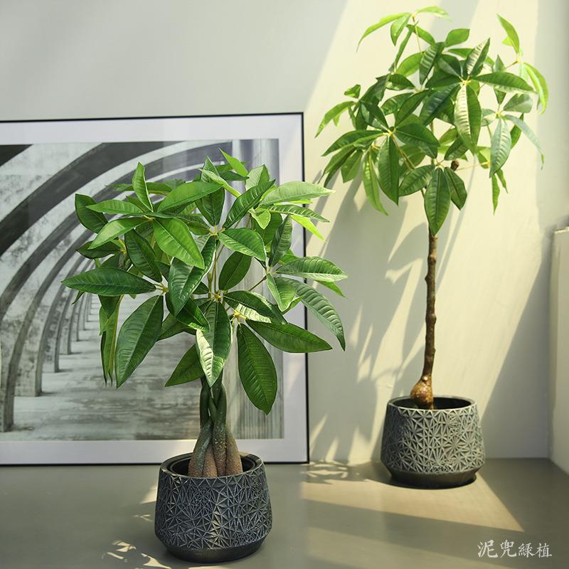 仿真绿植大型发财树家居客厅装饰盆景简约落地摆件室内盆栽假植物