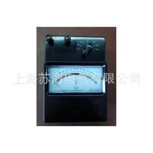 L2-V型平均值电压表0.5级标准表500V/600V/750VL2-V/1/2