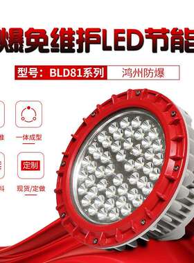 BLD81系列防爆免维护LED节能灯耐磨损防尘铝合金材质防爆投光灯