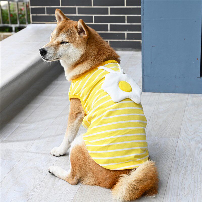 黄心荷包蛋/黄色条纹宠物猫咪狗猫宠物服装/雨衣（新