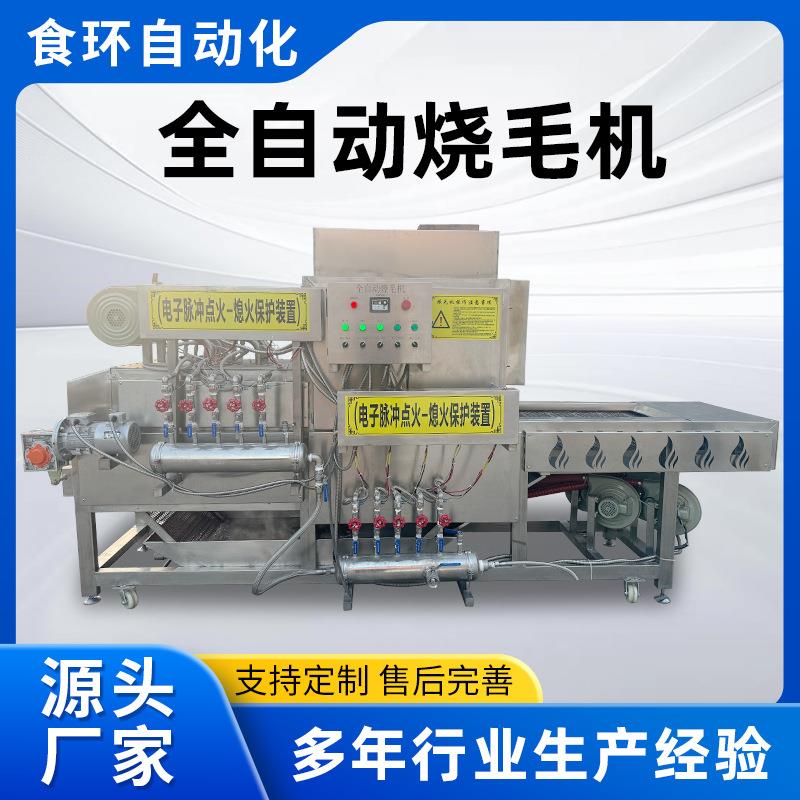 猪蹄烧毛燎毛机猪耳朵猪脸燎毛机带皮五花肉猪耳朵连续式烧毛机