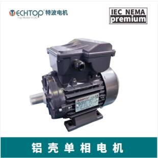 TECHTOPMOTOR特波出口欧洲IEC标准铝壳电机ML100L1-4PCE/EAC