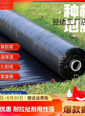 农用加厚大棚保温保湿黑色地膜种植除防虫膜新料莓专用膜米