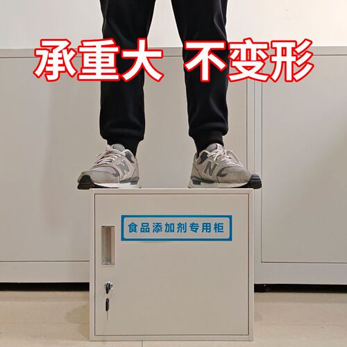 双锁保密文件柜保密柜食品添加剂柜药品柜铁皮柜学校学生试卷