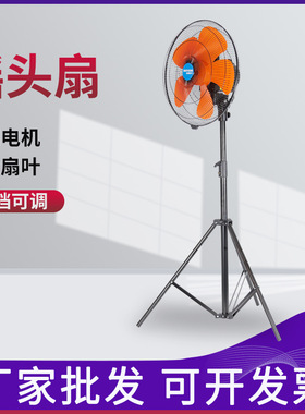 TFZR-45S工业立式落地式电风扇 大功率家用工厂台式落地摇头扇