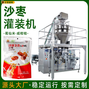 葛仙米定量分装机 沙枣自封袋灌装机 咸柑桔全自动颗粒给袋包装机