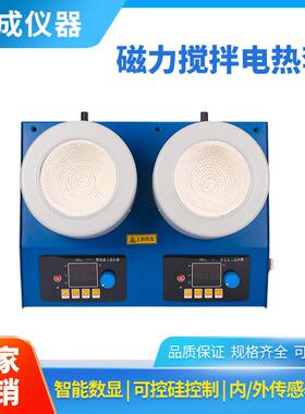 智能数显控温内外双传感器玻璃纤维绝缘层ZNCL磁力搅拌电热套