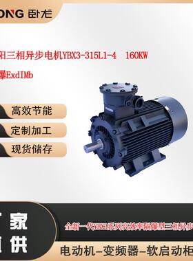 卧龙南阳三相异步电机YBX3-315L1-4160W矿用防爆ExdIMb