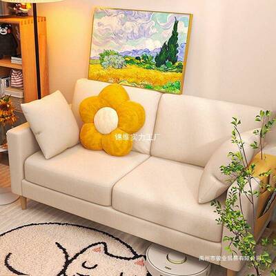 沙发小户型出租屋客厅简约现代卧室双人小沙发网红北欧风沙发宿舍