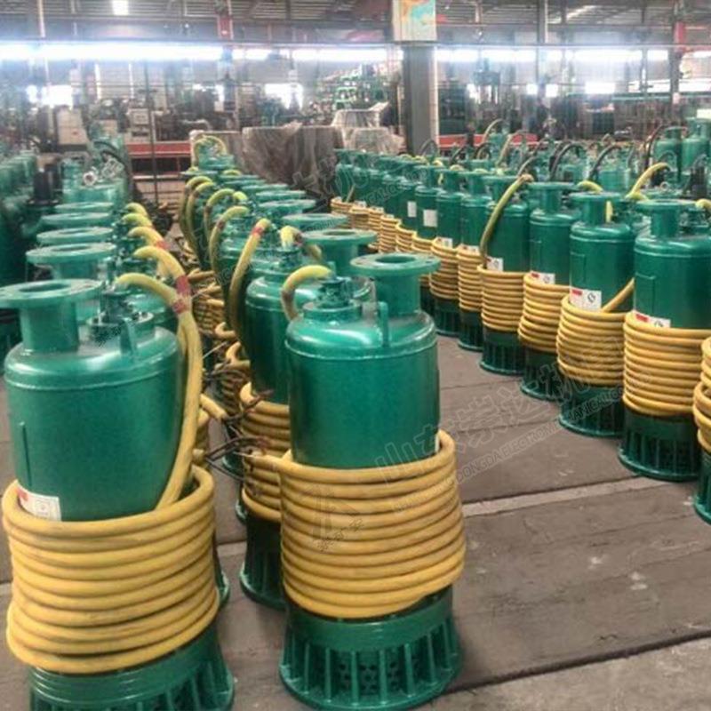 BQS(W)系列矿用隔爆型潜水排沙电泵防爆电泵排污排水泵