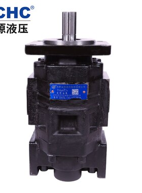 HCHC合肥长源泵齿轮油泵GN0BFH泵 长源齿轮泵