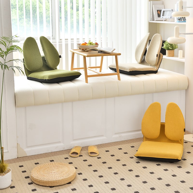 普格瑞司双背椅榻榻米靠背多功能坐垫色可选久坐不累秒变工学椅