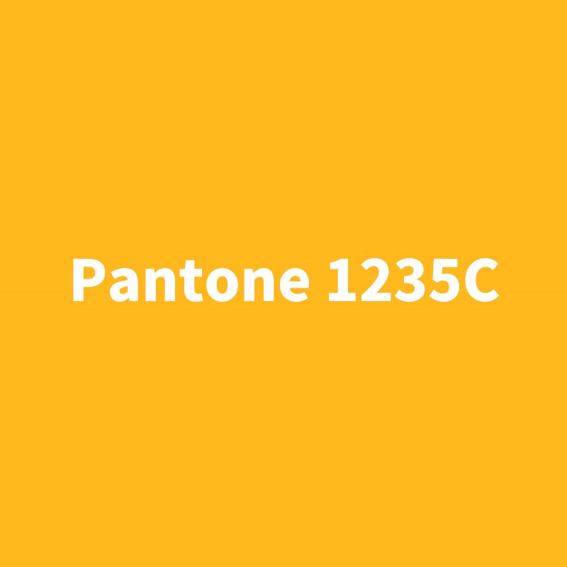 潘通系列自喷漆Pantone 123C/1235C/124C 明亮黄色/橘黄/暗黄色