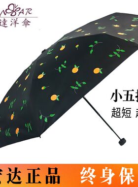 宏达五折伞防超轻小清新蓝色夏季黑胶遮阳伞