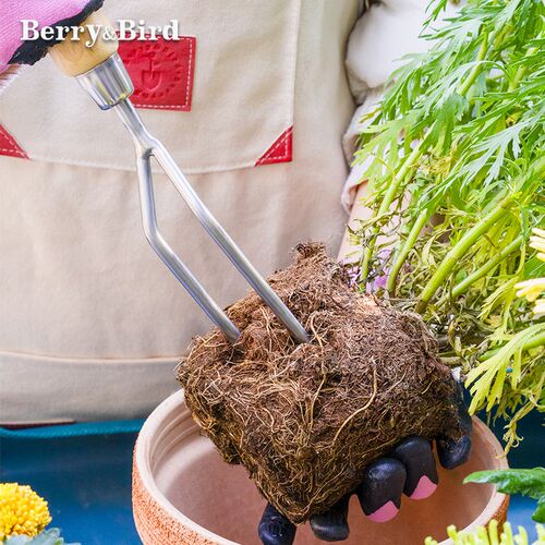 B土rry&园艺工具不齿手叉二锈钢花园松e破土盆栽移植双齿叉子