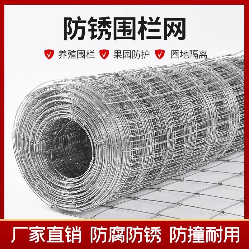 防锈铁丝网养殖网热镀锌牛栏网拦牛羊防护网圈地钢丝网果园围栏网