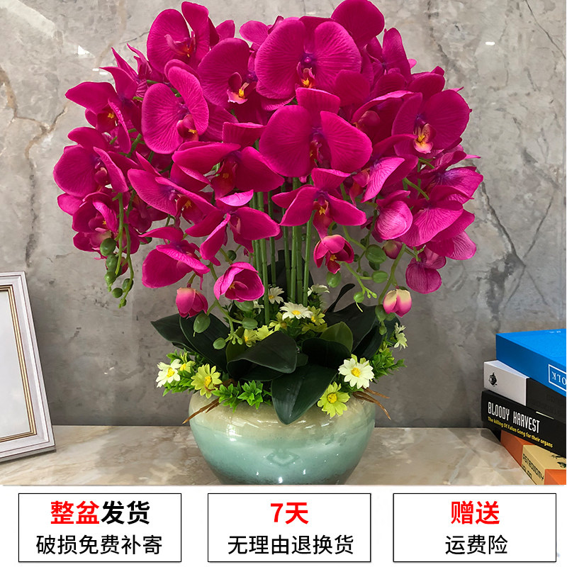 陶瓷花瓶摆件新中式台面玄关装饰花艺蝴蝶兰仿真花套装客厅