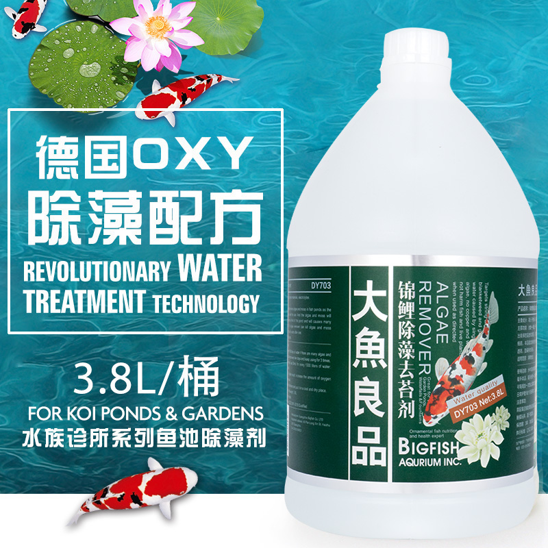 锦鲤鱼池除青苔剂除藻剂去藻除绿水除苔素水族箱除藻药水质净化