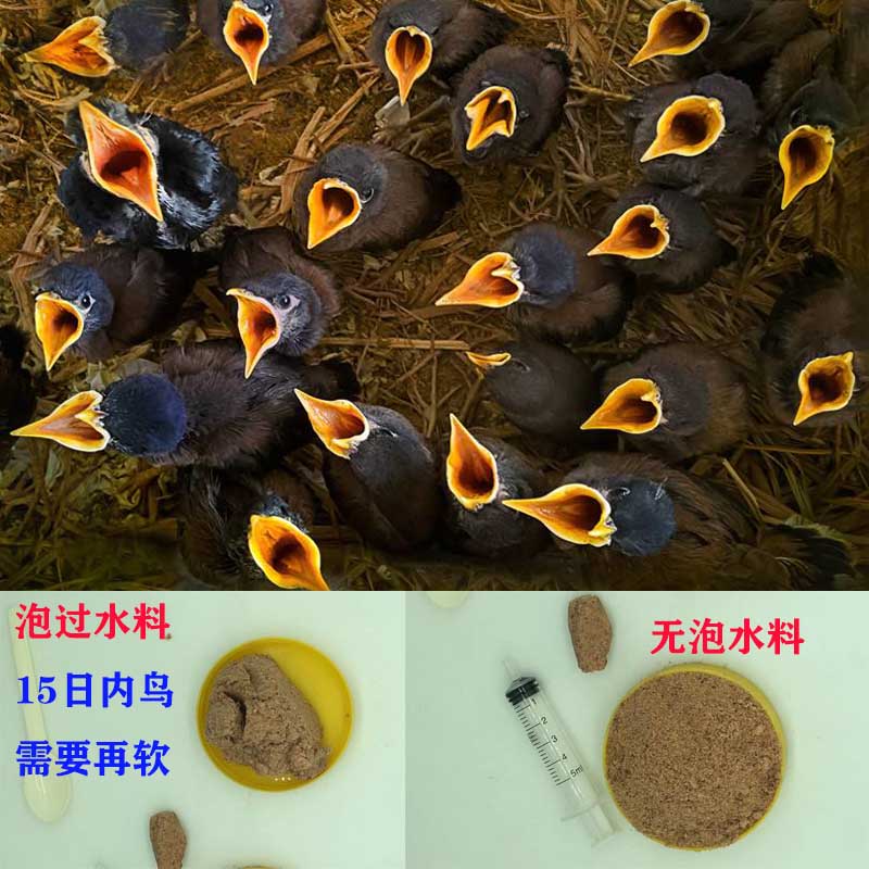 鹩哥雏鸟食八哥雏鸟食画眉雏鸟食鹩哥饲料八哥食饲料画眉食饲料