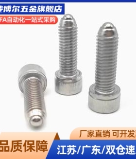 BPRH10/12/16-15/20/25/30/35/40/45/50重型内六角螺栓型球头柱塞