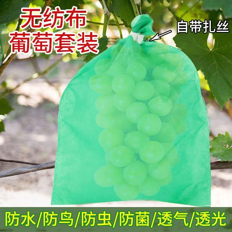 阳光玫瑰葡萄套袋专用套袋葡萄袋子防鸟防虫防雨防水袋果袋柚子袋
